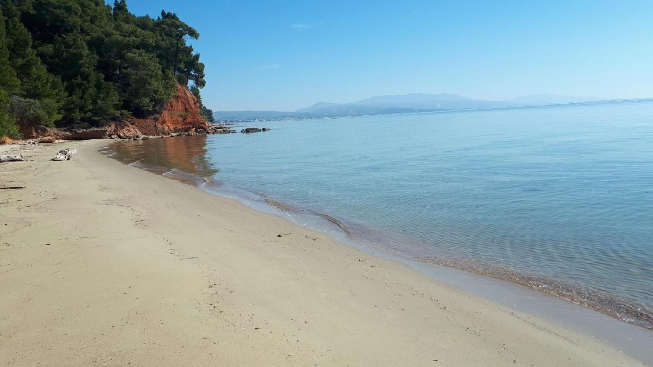 美塔摩尔弗斯Sithonia Alekos Luxury Experience公寓 外观 照片