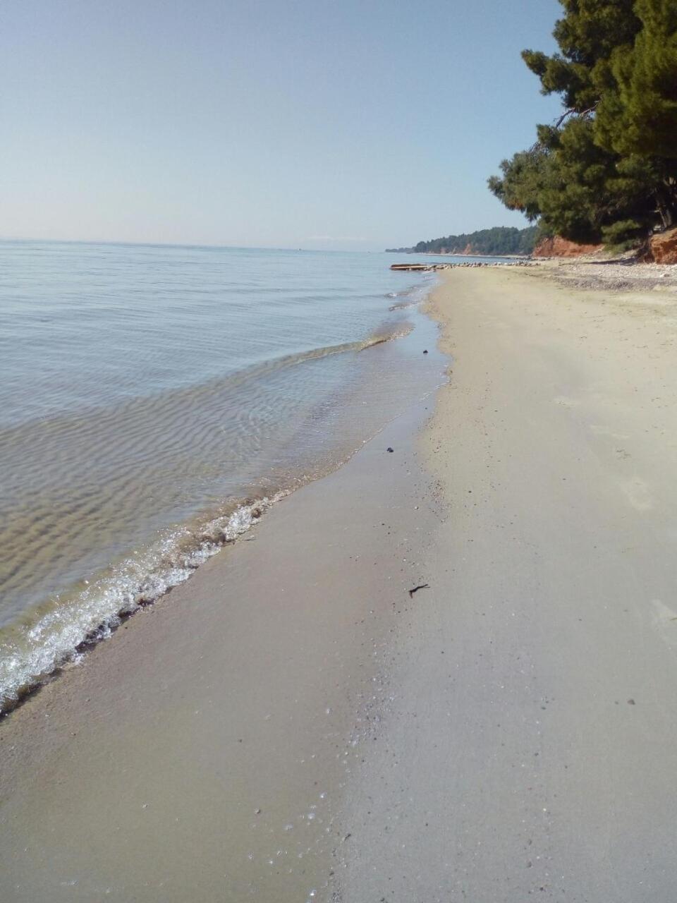 美塔摩尔弗斯Sithonia Alekos Luxury Experience公寓 外观 照片